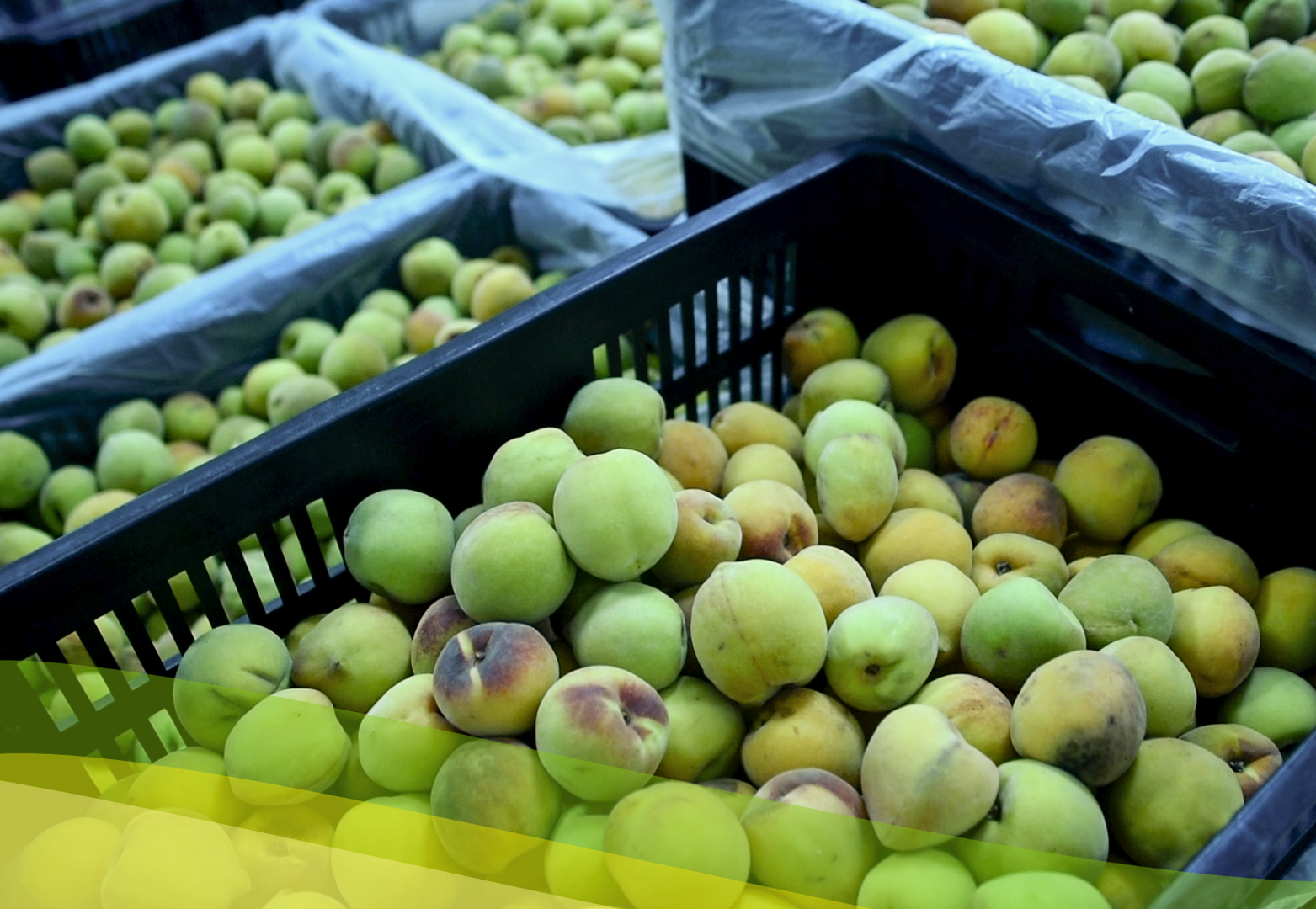 Comercialización de productos