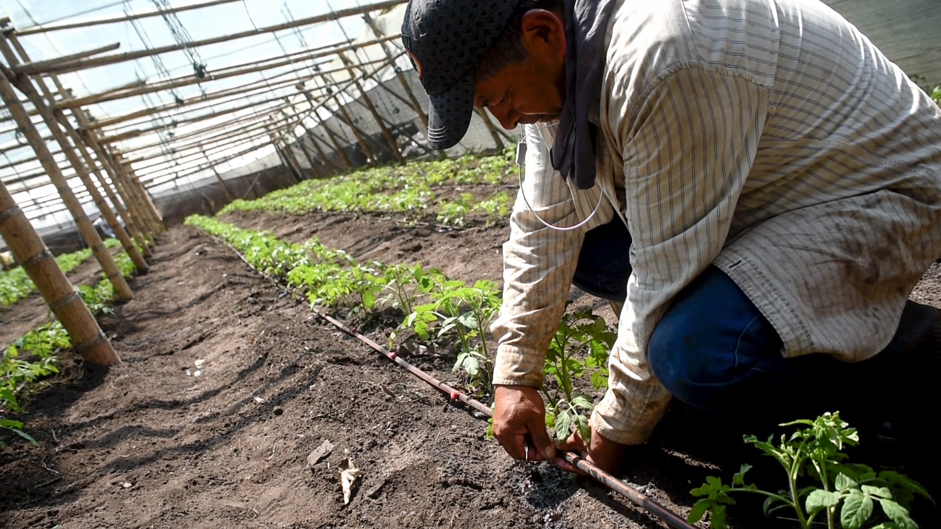 Desarrollo Rural y Medio Ambiente