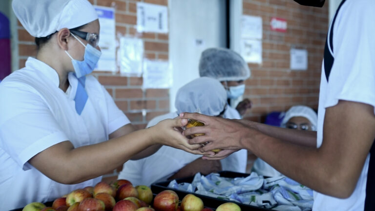 Alimentación y Nutrición